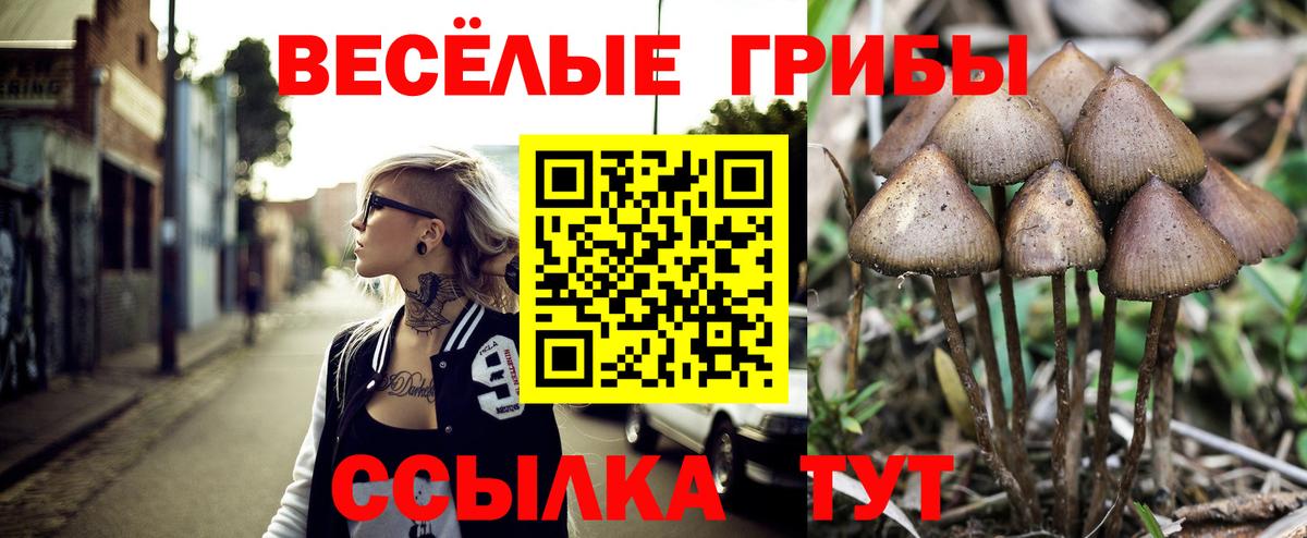 Псилоцибиновые грибы мухоморы Лесной